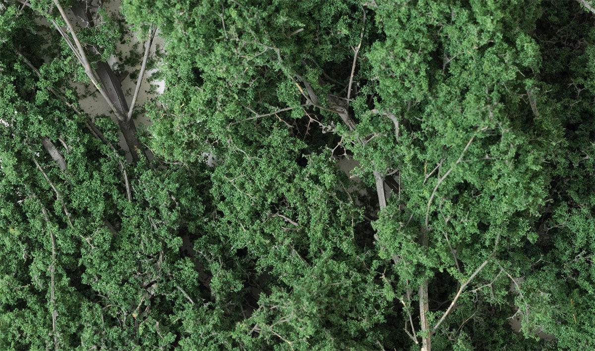 (WOODLAND SCENICS) Fine-Leaf Foliage™ Dark Green  F1130-1779990002-8LnYT.jpg