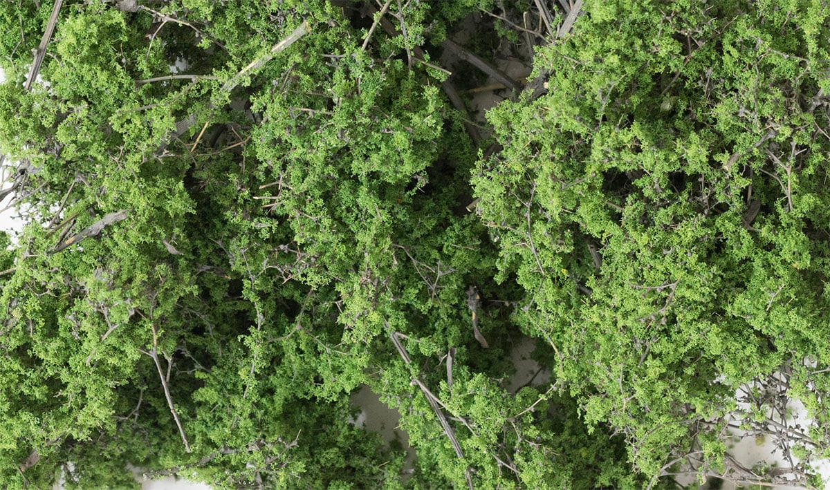 (WOODLAND SCENICS) Fine-Leaf Foliage™ Medium Green F1131-1779990207-Wm1o5.jpg