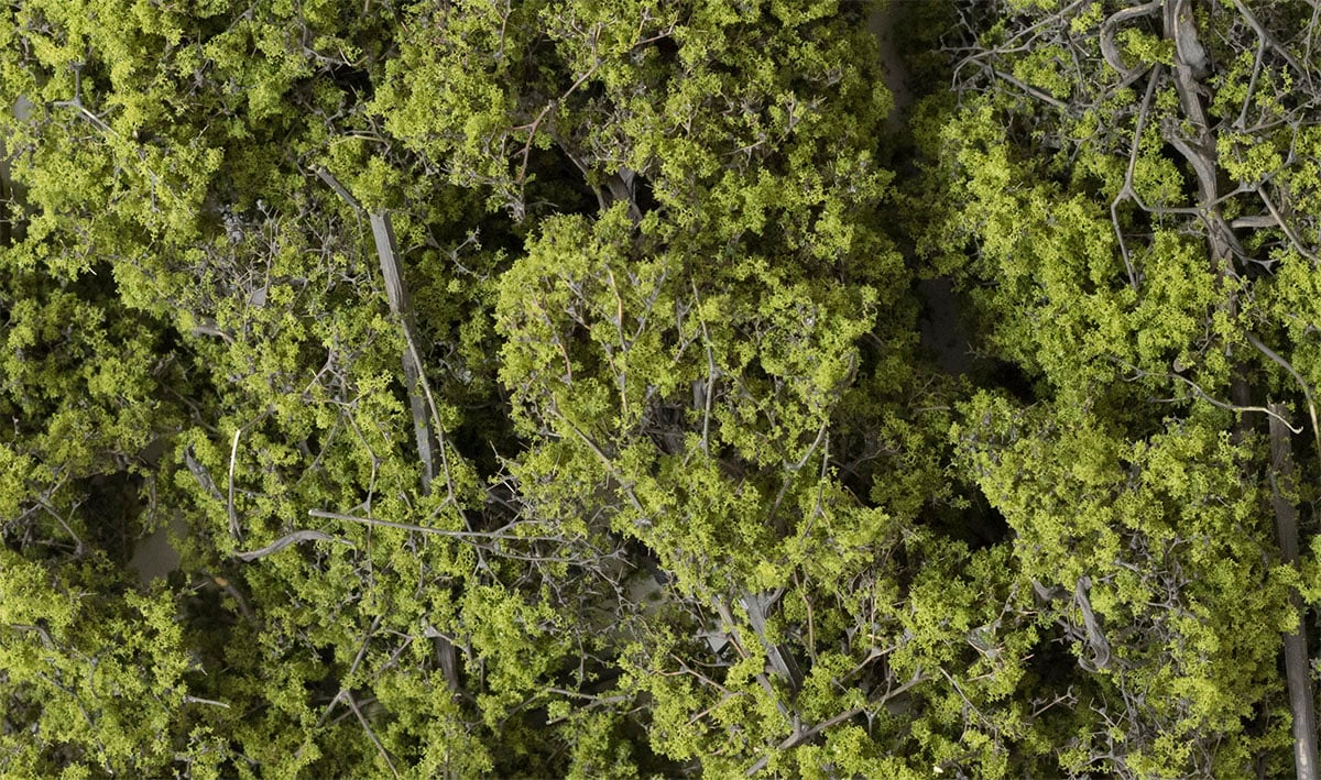 (WOODLAND SCENICS) Fine-Leaf Foliage™ Light Green F1132-1779990355-xDUqt.jpg