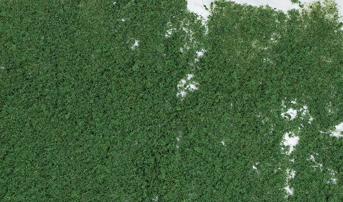 (WOODLAND SCENICS) Foliage Dark Green F53-1779991742-AsAUK.jpg