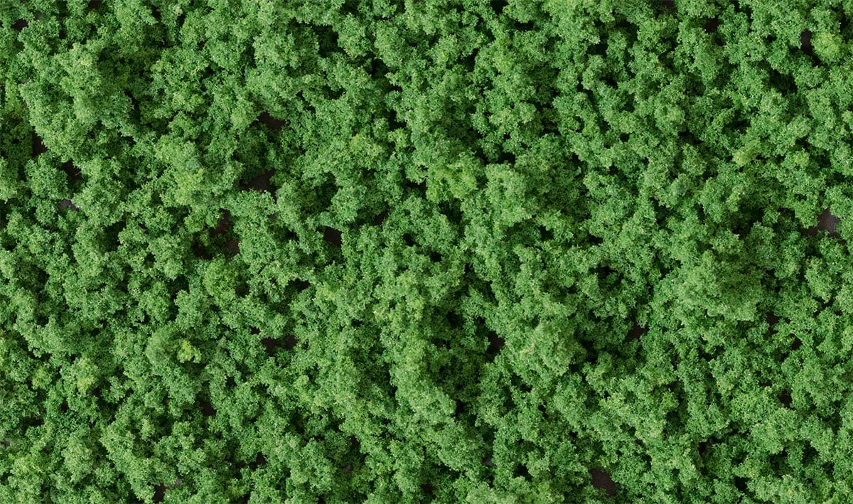 (WOODLAND SCENICS) Underbrush Medium Green Bag FC136-1779992927-niy8z.jpg