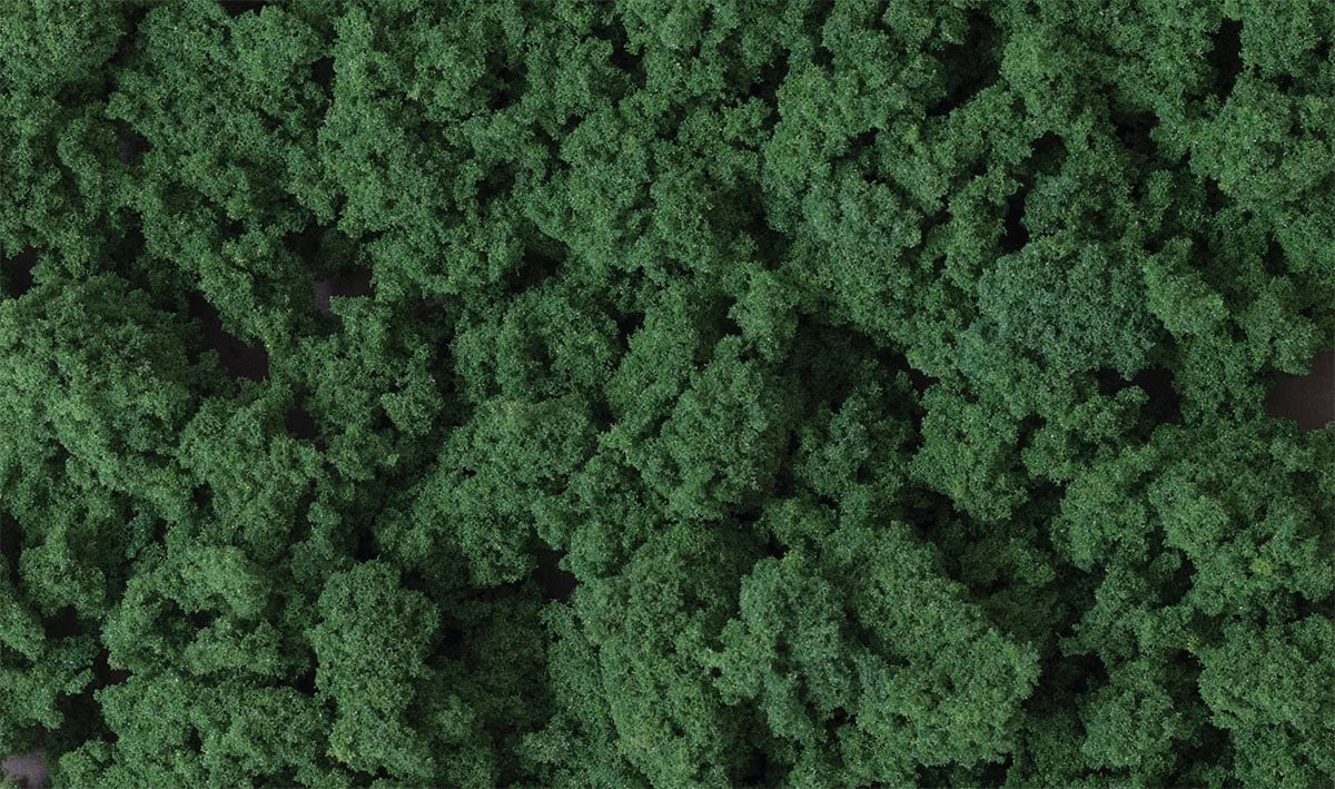 (WOODLAND SCENICS) Clump-Foliage™ Dark Green Small Bag FC684-1779994503-xMt4I.jpg