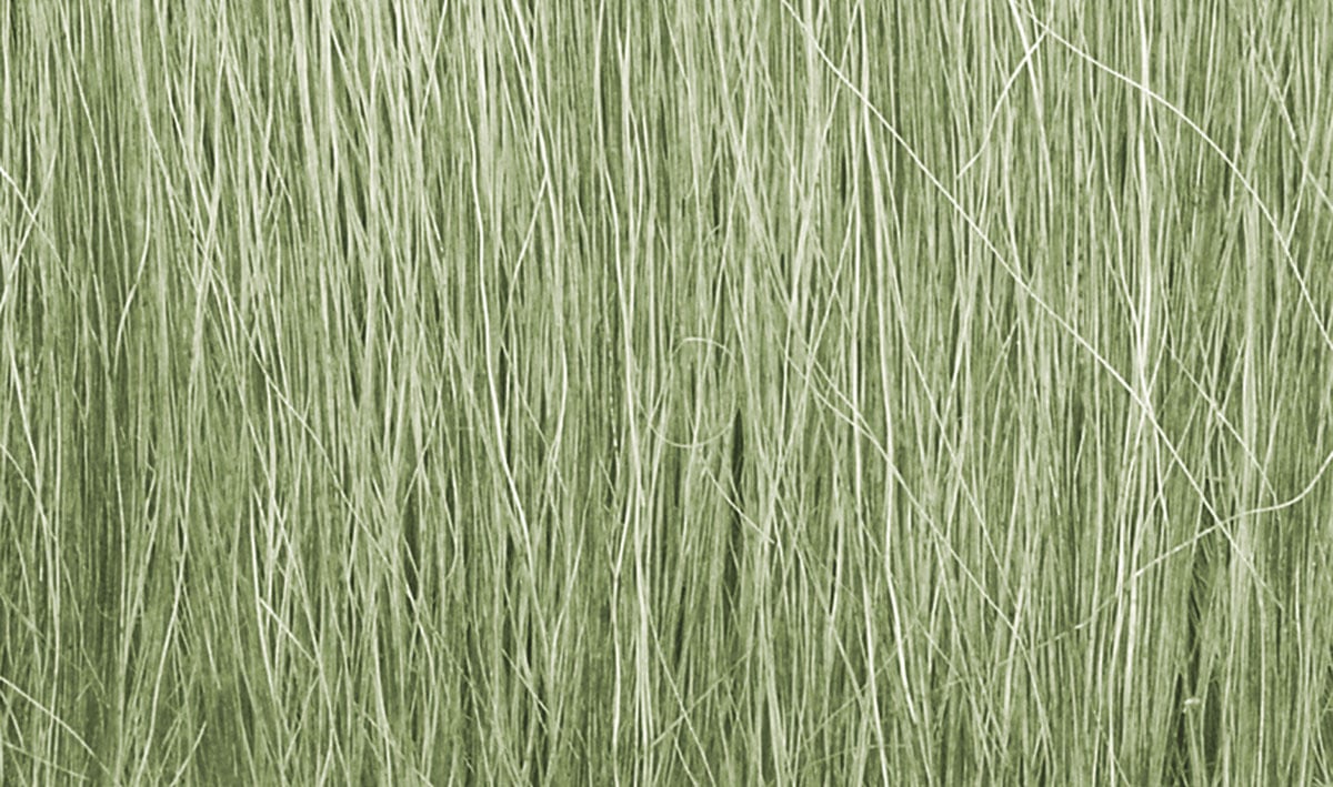 (WOODLAND SCENICS) Field Grass Light Green  FG173-1779994819-IHZ4t.jpg