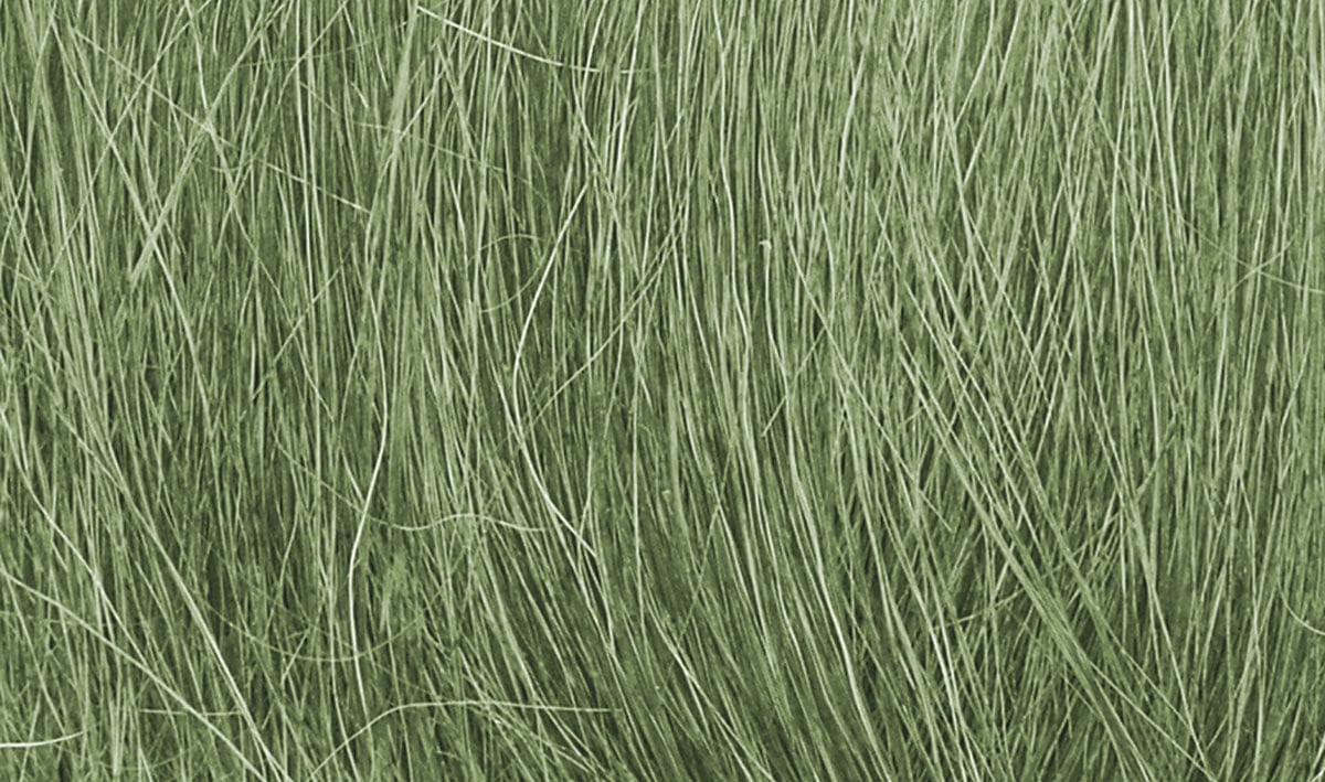 (WOODLAND SCENICS) Field Grass Medium Green FG174-1779995014-jAMa3.jpg